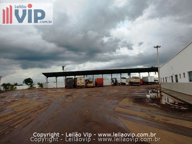 LeilãoVIP